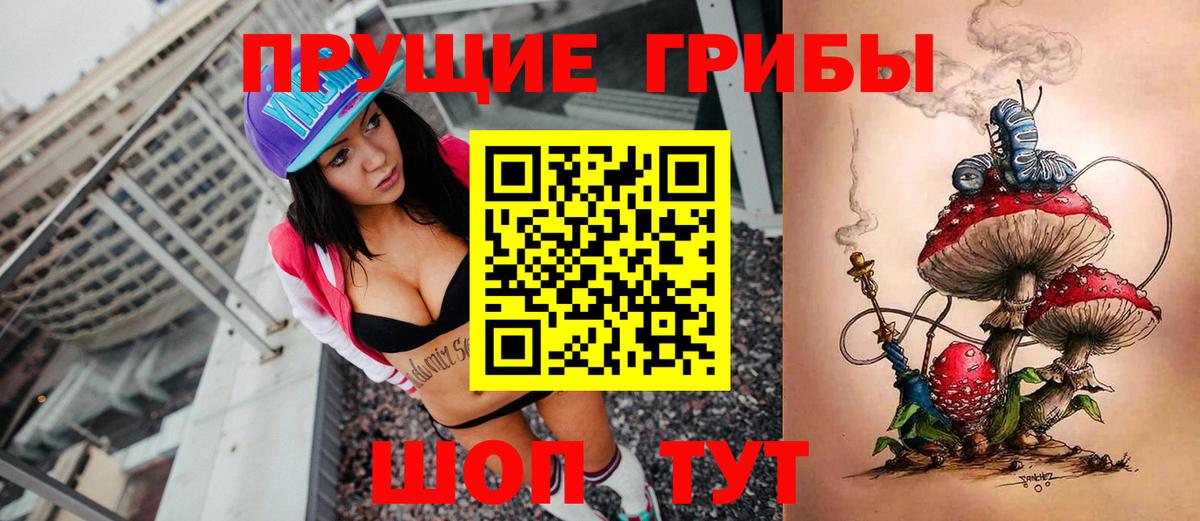 купить закладку  Галлюциногенные грибы MAGIC MUSHROOMS  Вход с VPN  Крымск 